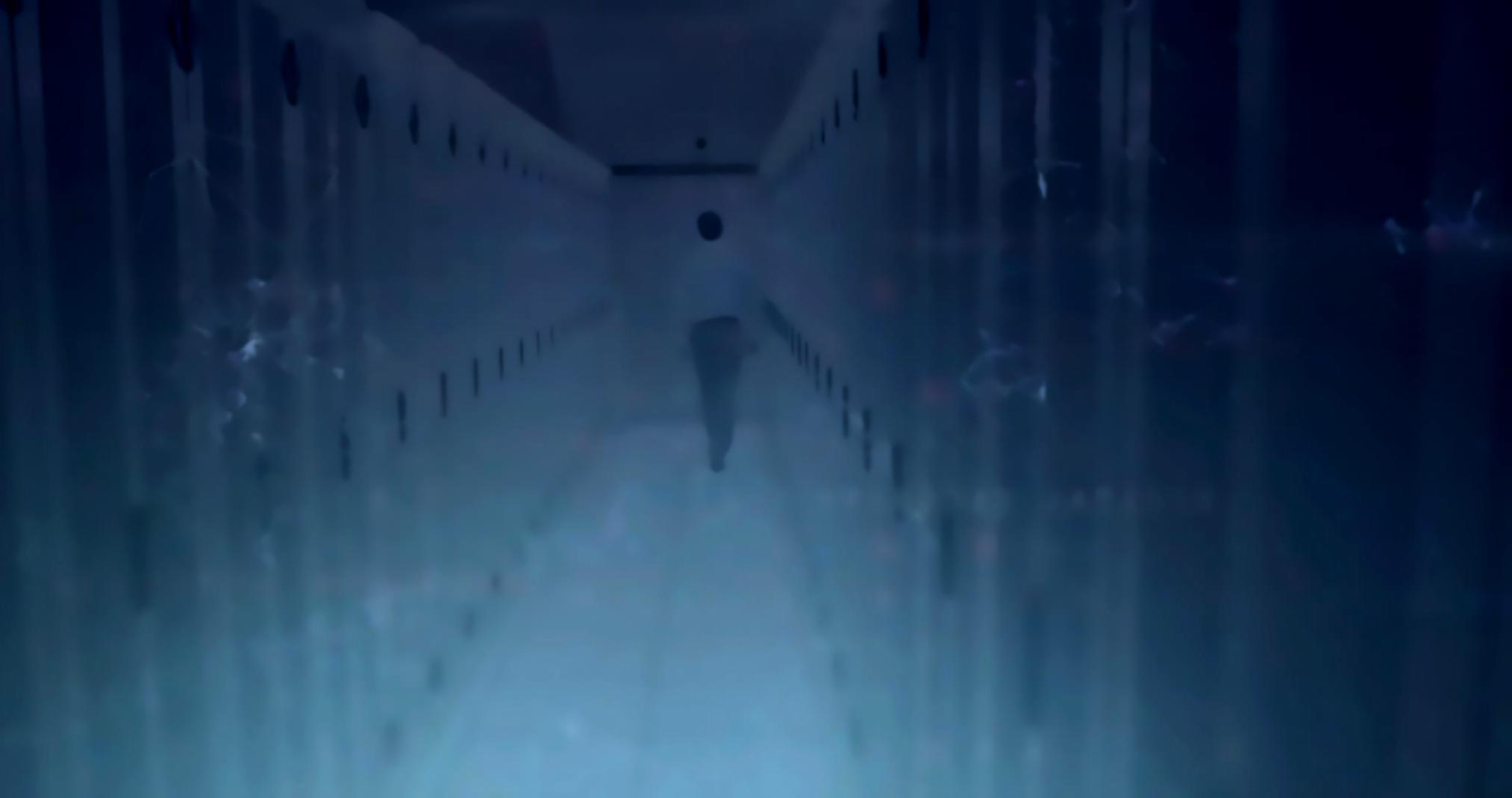 Процесс обработки запросов в офисе Njordex